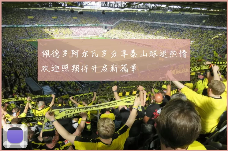 佩德罗阿尔瓦罗分享泰山球迷热情欢迎照期待开启新篇章