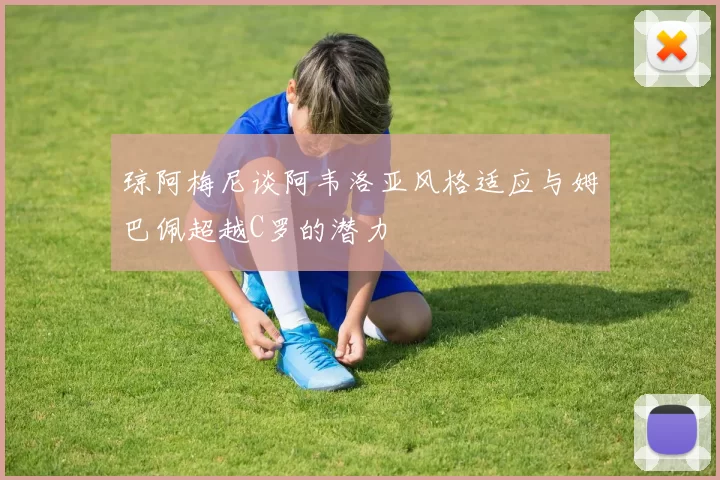 琼阿梅尼谈阿韦洛亚风格适应与姆巴佩超越C罗的潜力