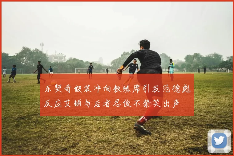 东契奇假装冲向教练席引发范德彪反应艾顿与后者忍俊不禁笑出声